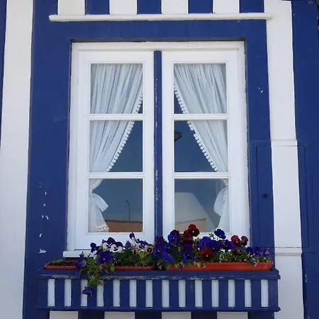 Appartement Palheiro Da Ana à Costa Nova Extérieur photo